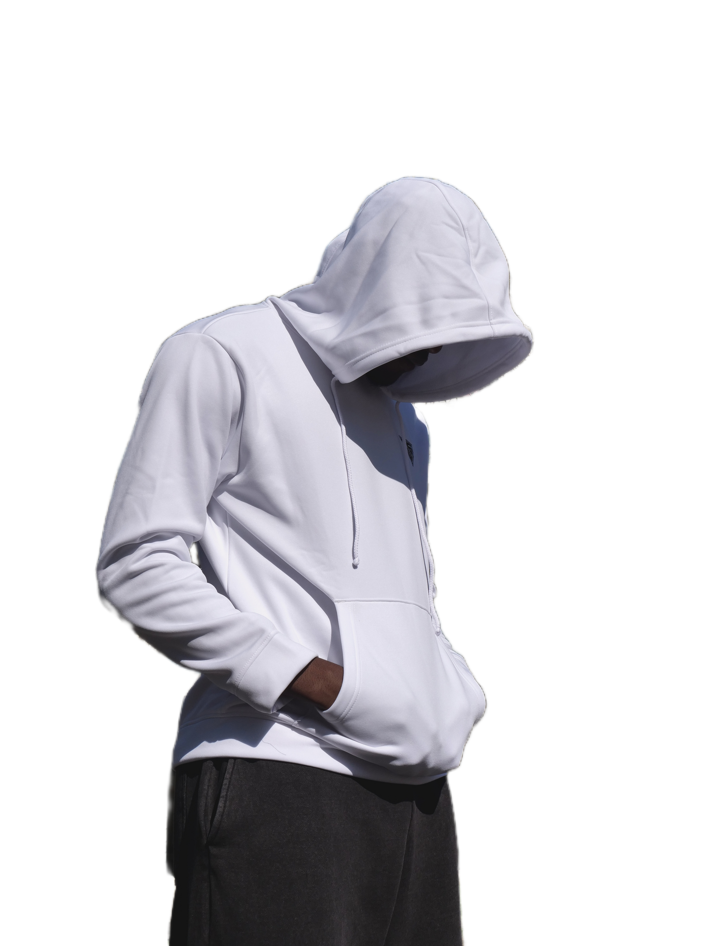 Crest Hoodie